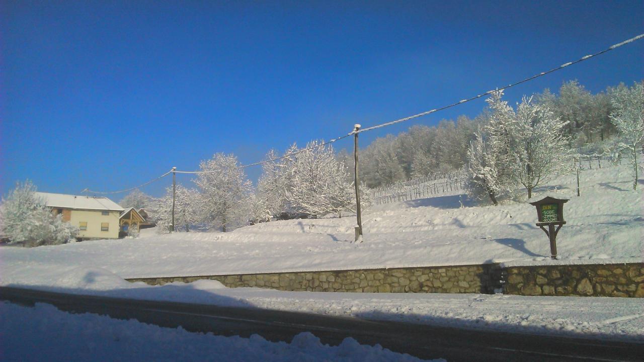 Bed&Breakfast Zilje Vinica Exterior foto